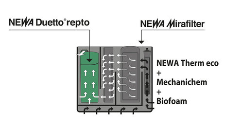 אקווריום נווה מירבלו 70 שחור NEWA Mirabello
