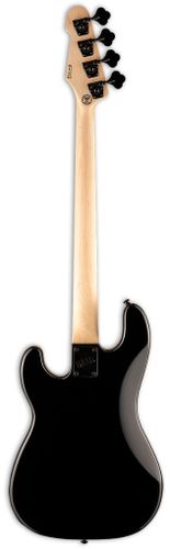 זוית נוספת ESP LTD SURVEYOR '87