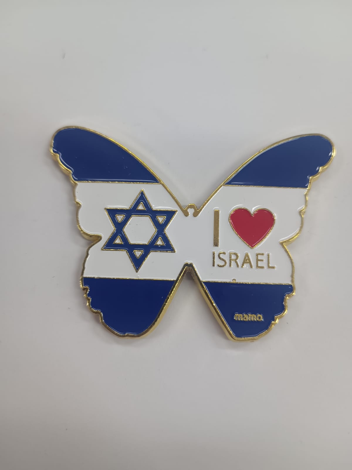 מזכרת מגנט ברזל
