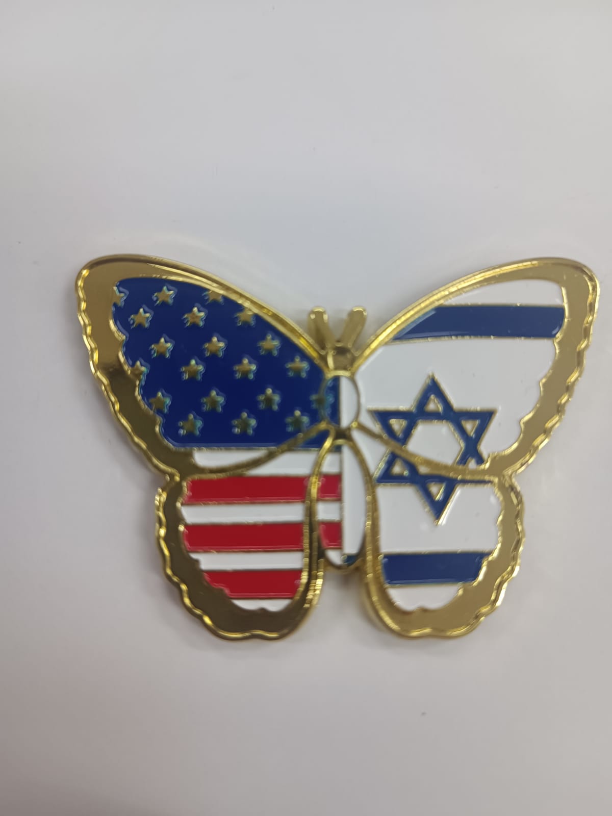 מזכרת מגנט ברזל