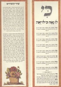הגדה של פסח - פורמט מאורך (XXL) SMACHOT