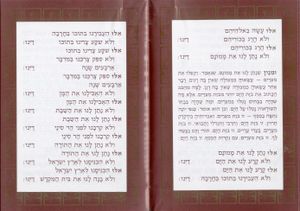 הגדה בסגנון עתיק (L) SMACHOT