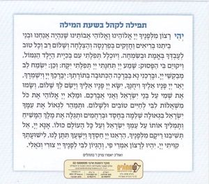 סדר ברית מילה  SMACHOT