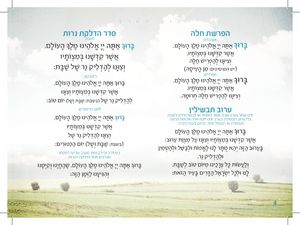 זמירון לשבת ושירי א"י - טוב הארץ בכריכה דמוי עור (L) SMACHOT