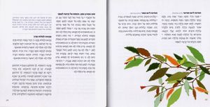 אדון הסליחות-חוברת סליחות בעיצוב חדש (L) SMACHOT