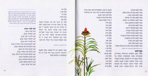 אדון הסליחות-חוברת סליחות בעיצוב חדש (L) SMACHOT