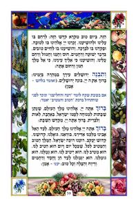 סדר הושענות  SMACHOT