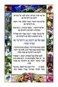 סדר הושענות  SMACHOT