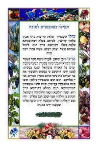 סדר הושענות  SMACHOT