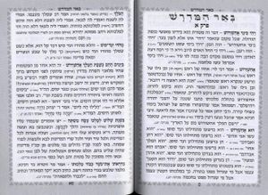 מגילת אסתר כוונת הלב כולל פירוש רש"י SMACHOT