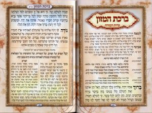 חוברת פרקי שירה עם ברכת המזון (L) SMACHOT