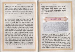 הגדה של פסח סמני החג (L) SMACHOT