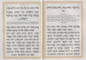 הגדה של פסח סמני החג (L) SMACHOT