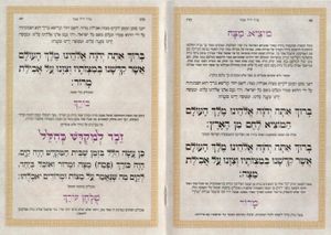 הגדה של פסח סמני החג (L) SMACHOT