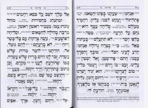סליחות ע"מ עם פירוש כוונת הלב כריכה רכה (L) SMACHOT