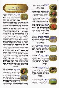 פרק שירה (XXL) SMACHOT