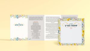 ברכון סט זמרת הארץ