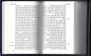 ספר תנ"ך גדול כריכה קשה בהוזלה (L) SMACHOT