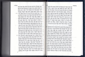 ספר תנ"ך גדול כריכה קשה בהוזלה (L) SMACHOT