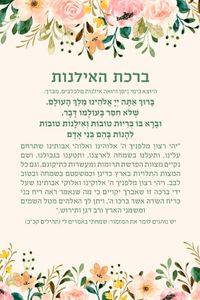 ברכת האילנות  SMACHOT