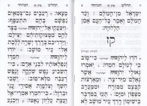 תהילים מחולק SMACHOT