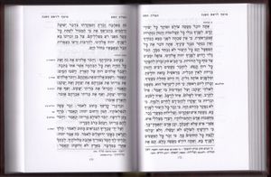 סט 5 מחזורים רינת ישראל פורמט בינוני (L) SMACHOT