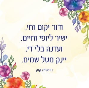 50 יחידות מגנט מעוצב (M) SMACHOT