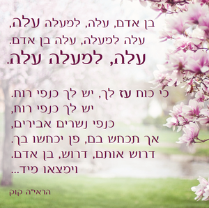 50 מגנטים מעוצבים SMACHOT