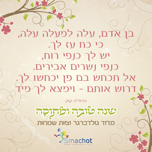 50 יחידות מגנט מעוצב לאירוע SMACHOT