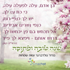 50 יחידות מגנט מעוצב לאירוע