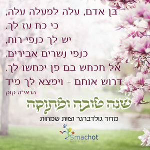 50 יחידות מגנט מעוצב לאירוע SMACHOT