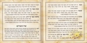 הגדה של פסח פורמט ריבועי SMACHOT