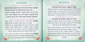 הגדה של פסח אביבית (M) SMACHOT