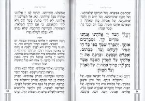 הגדה של פסח כריכה רכה דמוי עור SMACHOT