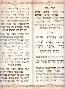 הגדה של פסח מאורכת עם הטבעות כסף (XXL) SMACHOT