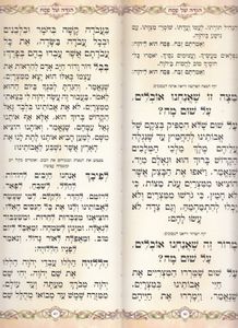 הגדה של פסח מאורכת עם הטבעות כסף (XXL) SMACHOT