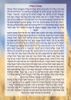 50 יחידות זבד הבת בעיצוב אישי