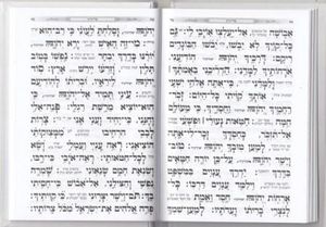 סליחות-כוונת הלב כריכה קשה דמוי עור (L) SMACHOT