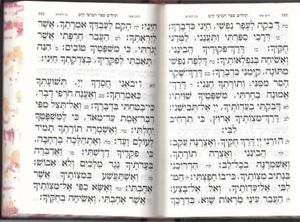 תהילים שערי מלכות SMACHOT