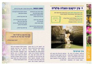 "דרך ארץ" בשבילי הפריחה והמעיין (M) SMACHOT