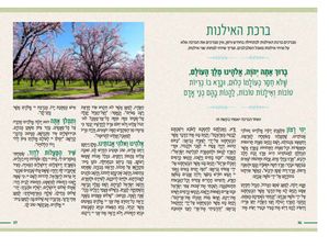 "דרך ארץ" בשבילי הפריחה והמעיין (M) SMACHOT