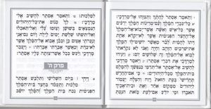 מגילת אסתר דמוי עור פורמט מרובע (M) SMACHOT
