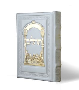 תהילים