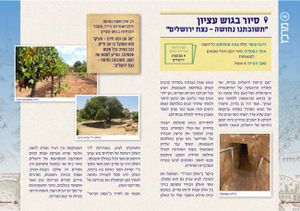 דרך ארץ "גבורות ישראל" לחנוכה חדש (M) SMACHOT
