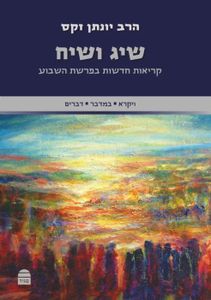 שיג ושיח