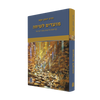 מועדים לשיחה