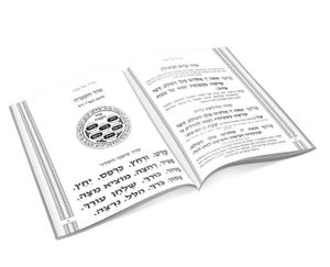 הגדה של פסח דמוי עור