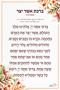 ברכת אשר יצר מעוצב- ניתן לתלות אצלכם במשלוח מהיר SMACHOT