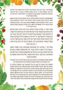 ברכון 'ברכה בגינה' - הברכון שיכניס שפע לביתכם! SMACHOT