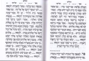 תהילים עבודת השם עם עיטור כתר, הבלטות מוזהבות בכריכה